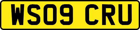 WS09CRU