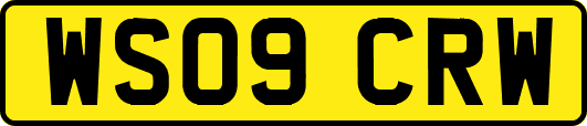 WS09CRW