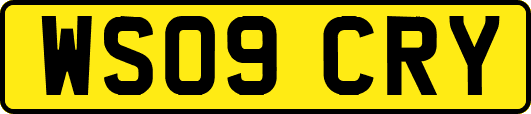 WS09CRY