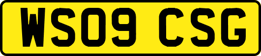 WS09CSG