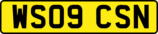 WS09CSN