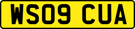 WS09CUA