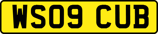 WS09CUB