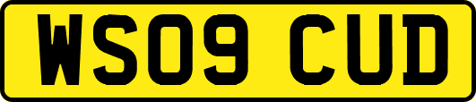 WS09CUD