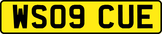 WS09CUE