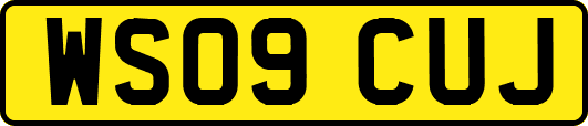 WS09CUJ
