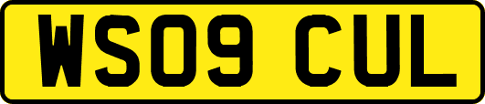 WS09CUL