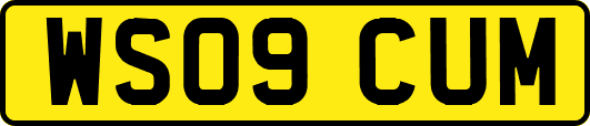 WS09CUM