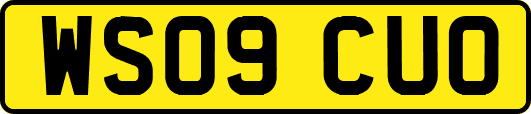 WS09CUO