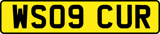 WS09CUR