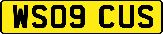 WS09CUS