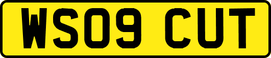 WS09CUT