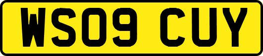 WS09CUY