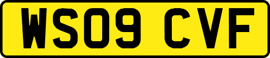 WS09CVF