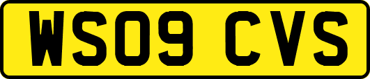 WS09CVS