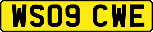 WS09CWE