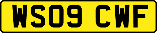 WS09CWF