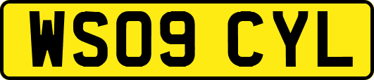 WS09CYL