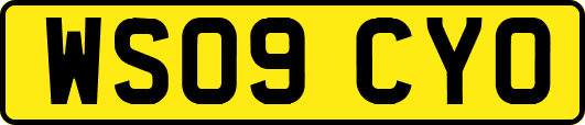 WS09CYO