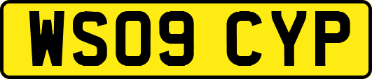 WS09CYP