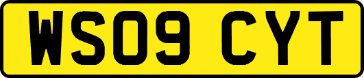 WS09CYT