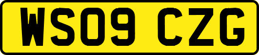 WS09CZG