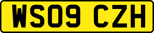 WS09CZH