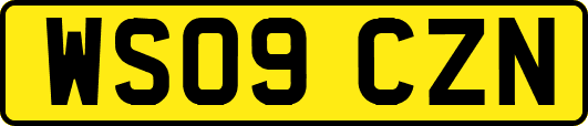 WS09CZN