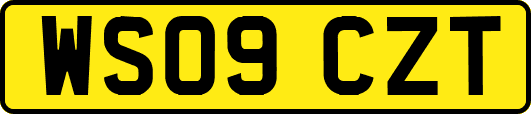 WS09CZT