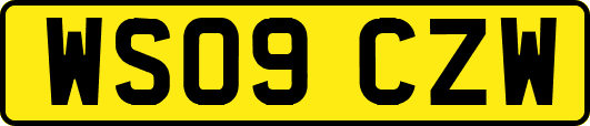 WS09CZW