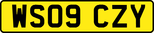 WS09CZY