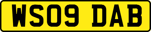 WS09DAB
