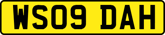 WS09DAH