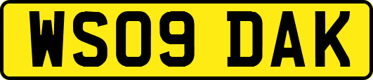 WS09DAK