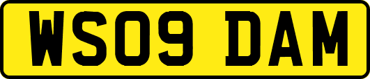 WS09DAM