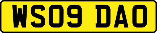 WS09DAO