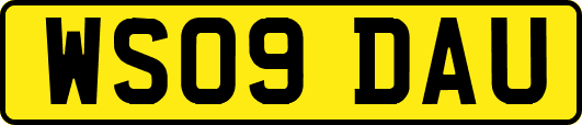 WS09DAU
