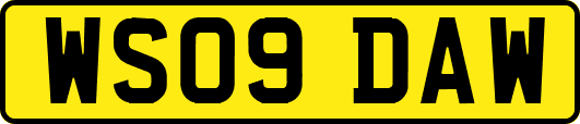 WS09DAW