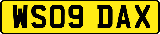 WS09DAX