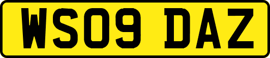 WS09DAZ