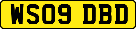 WS09DBD
