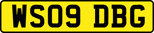 WS09DBG