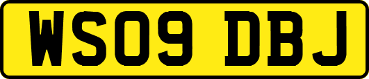 WS09DBJ