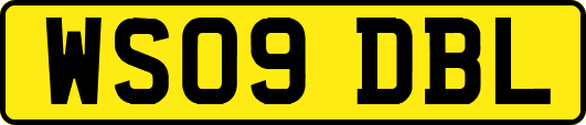 WS09DBL