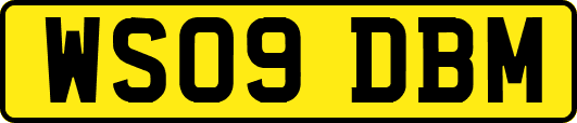 WS09DBM