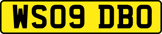 WS09DBO