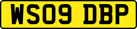 WS09DBP