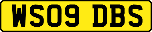 WS09DBS