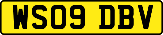 WS09DBV
