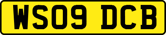 WS09DCB